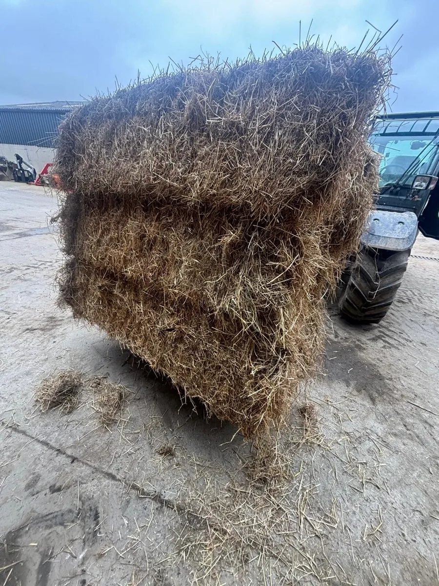 Hay 7x3x2 - Image 2