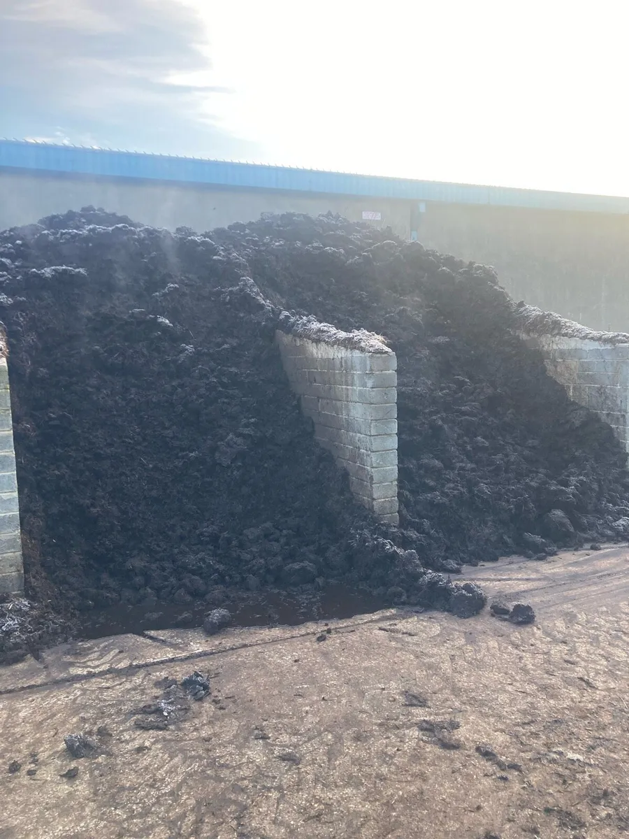 Miscanthus compost - Image 4