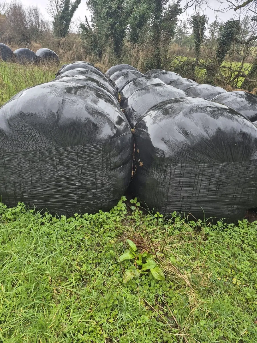 Silage bales