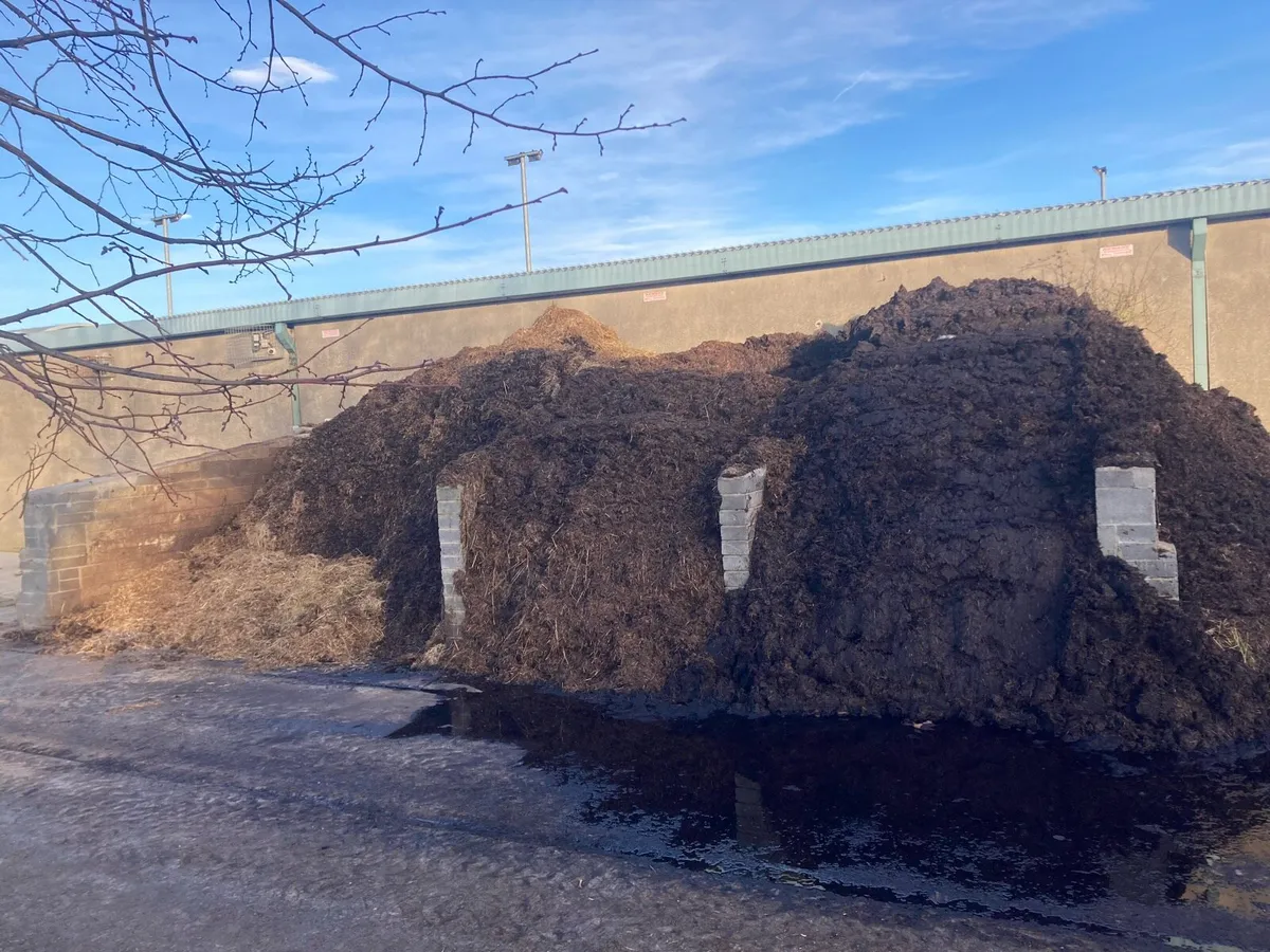 Miscanthus compost - Image 3