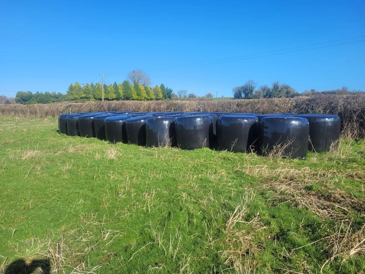 Silage/haylage for sale - Image 1