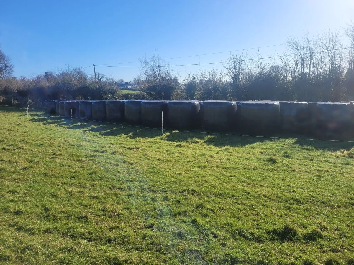 Silage/haylage for sale - Image 2