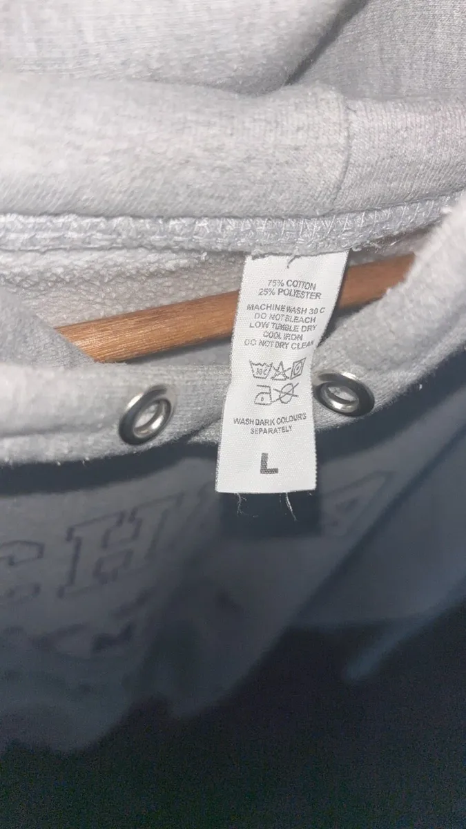 Michigan University Grey Hoodie - Image 3