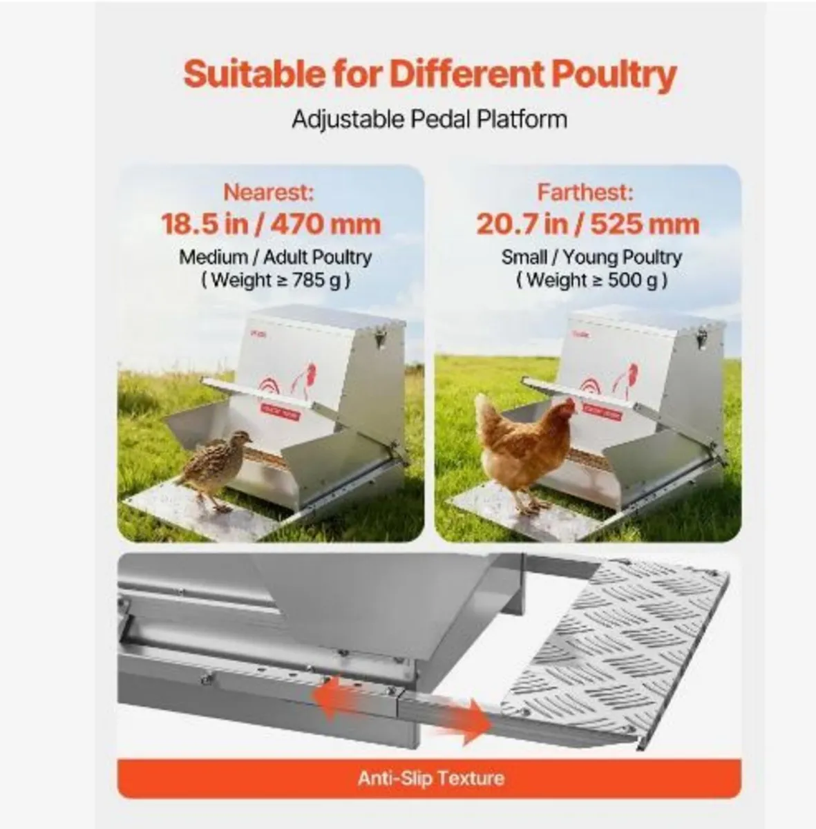 Automatic Chicken Feeder, 18.14 kg Capacity - Image 2