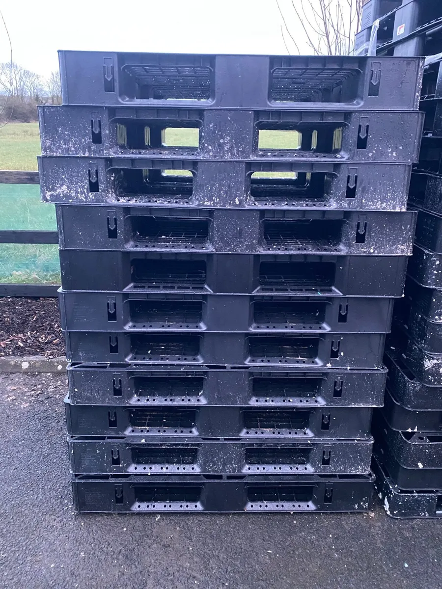 Plastic pallets - Image 1