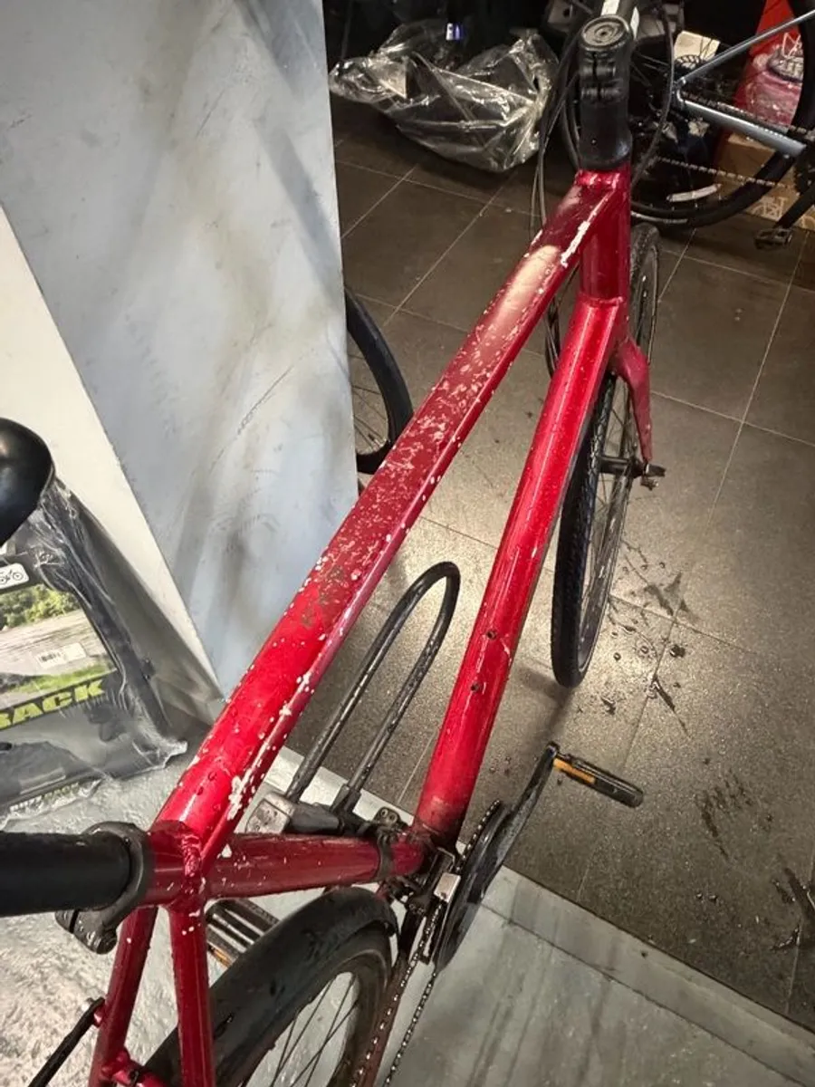 Trek XXL Road Bike Just Serviced - Image 4