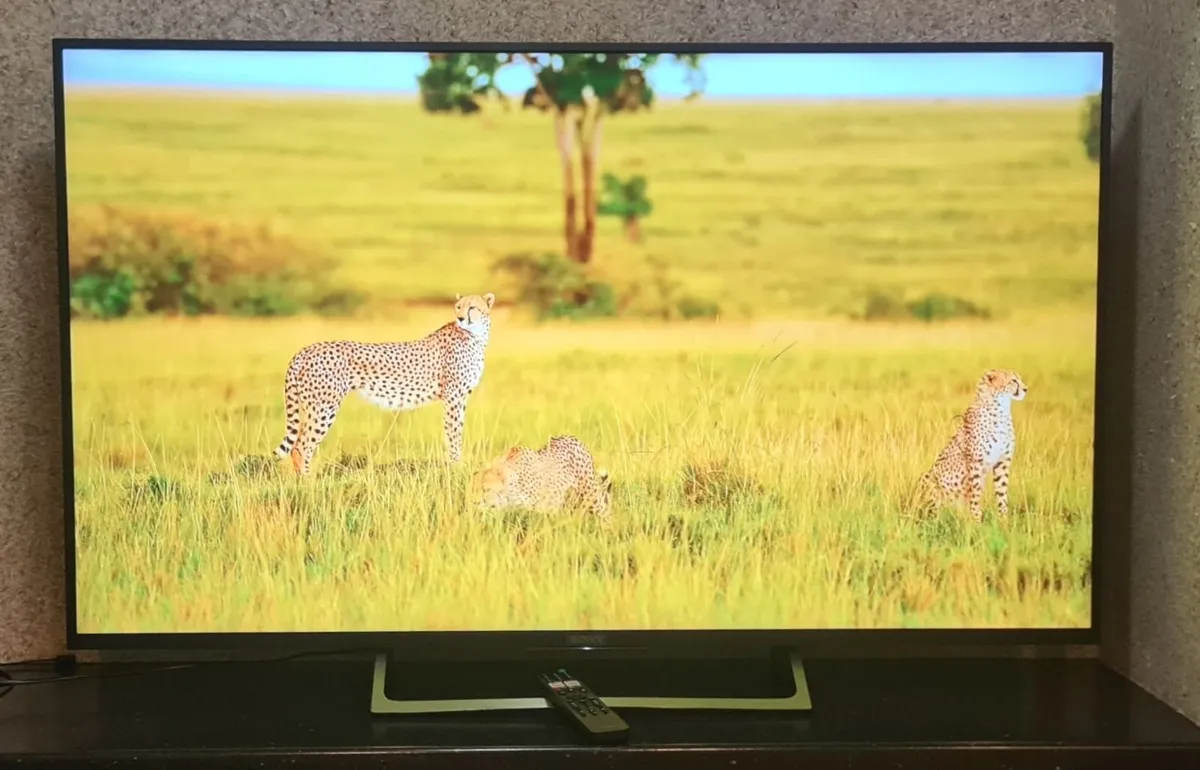 Sony Bravia 55" 4K Ultra HD Smart TV - Image 1