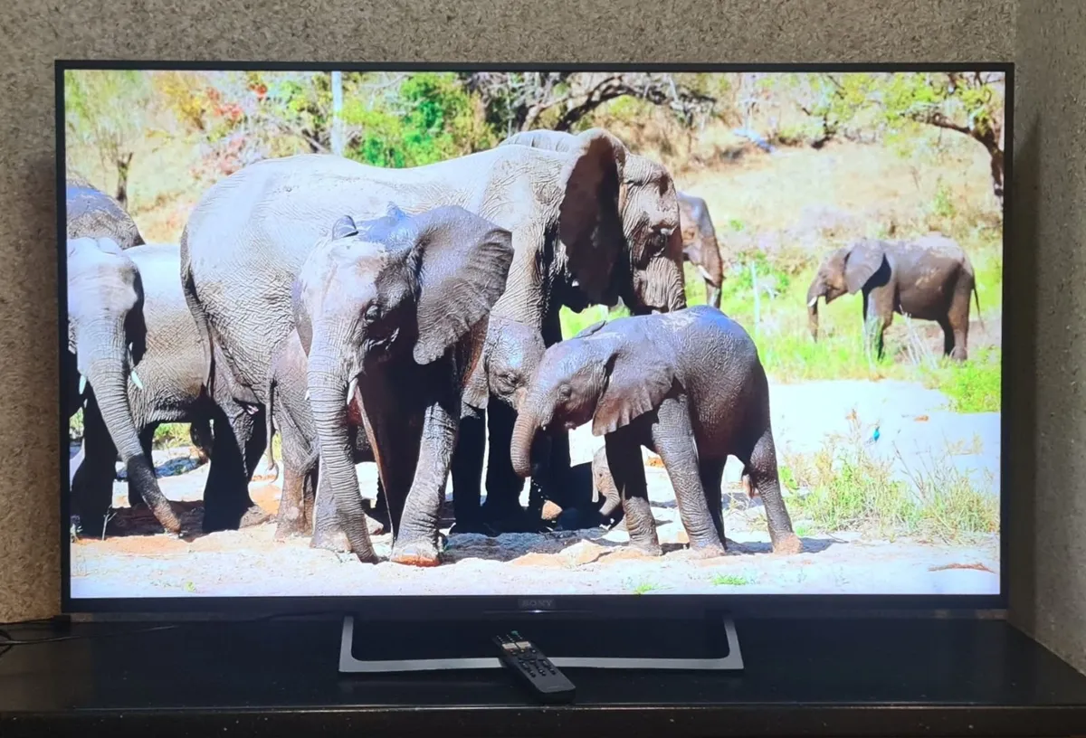 Sony Bravia 55" 4K Ultra HD Smart TV - Image 2