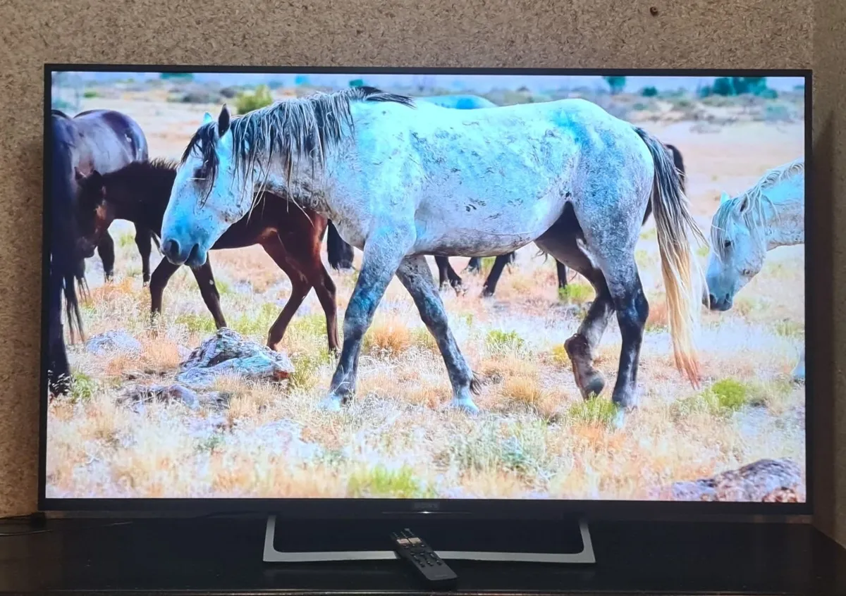 Sony Bravia 55" 4K Ultra HD Smart TV - Image 3