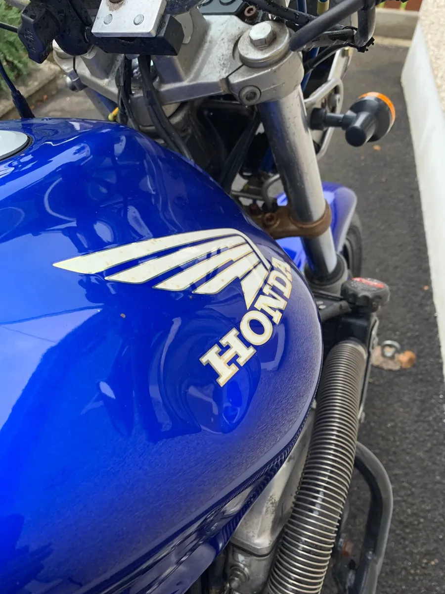 Honda Hornet 600 - Image 3