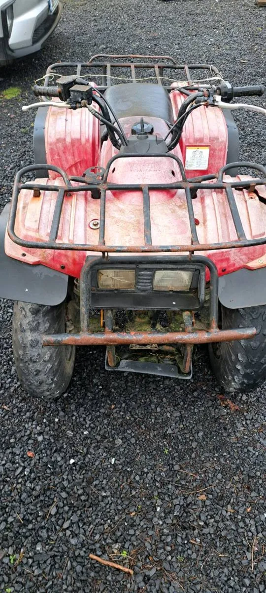 Quad bike - Image 1