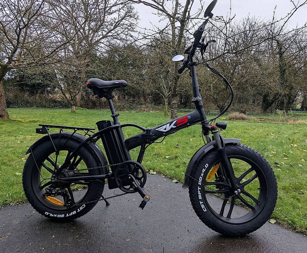 RSI-V Folding Electric Bike - 48V 20Ah 250W - Image 2