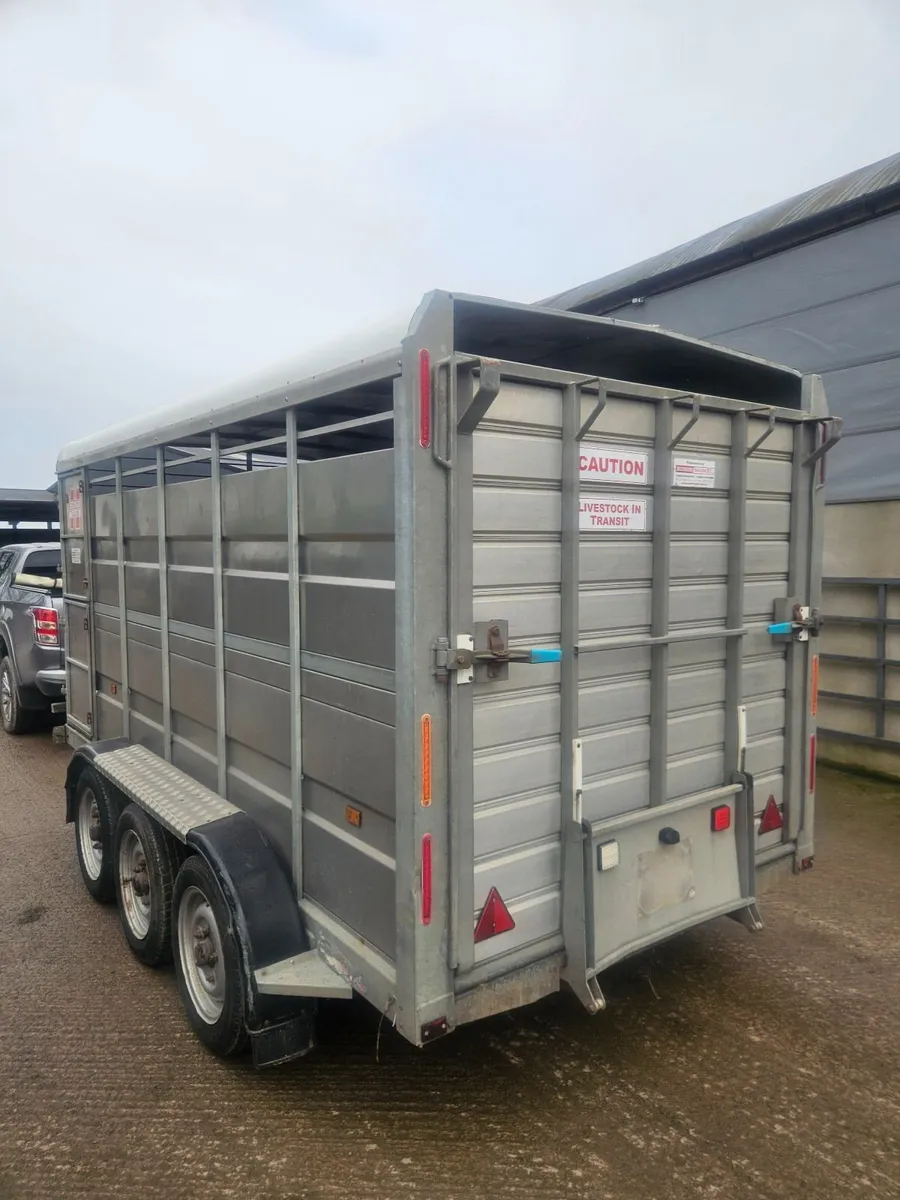 Hudson Cattle Trailer - Image 3