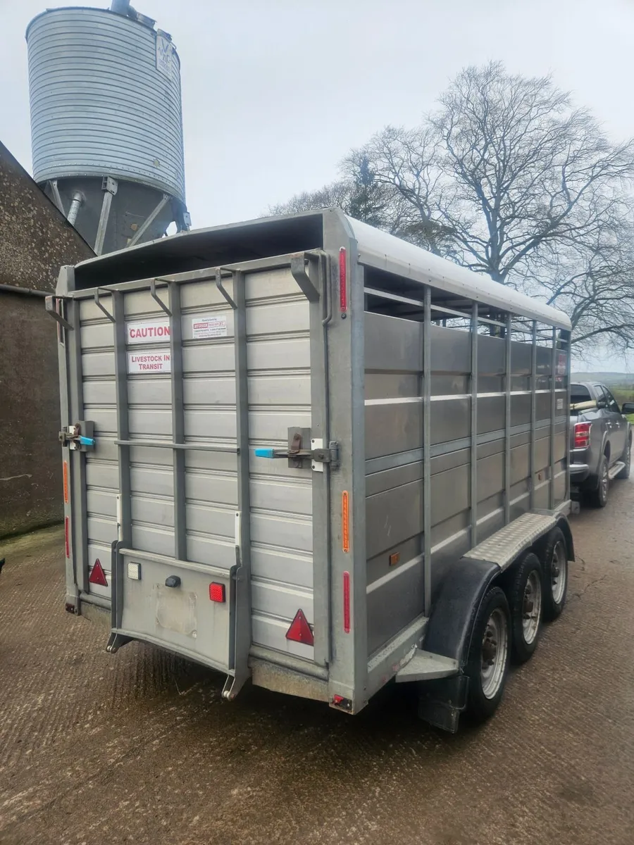 Hudson Cattle Trailer - Image 4