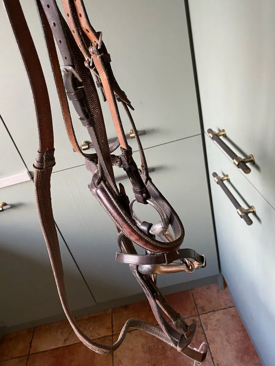 Brown leather Bridle and Martingale - Image 1
