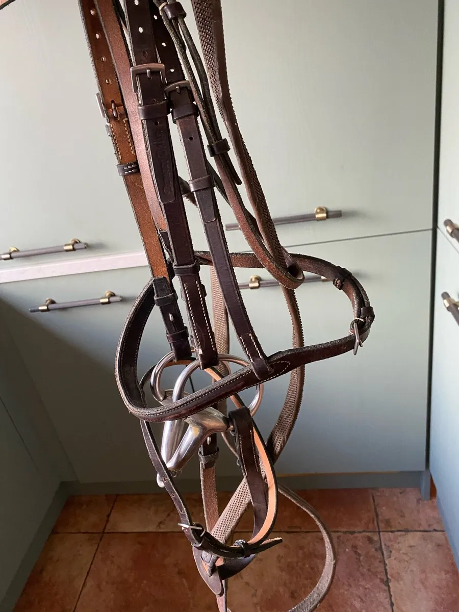 Brown leather Bridle and Martingale - Image 2