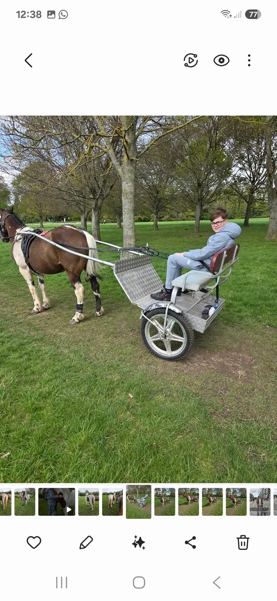 English made roadcart - Image 4