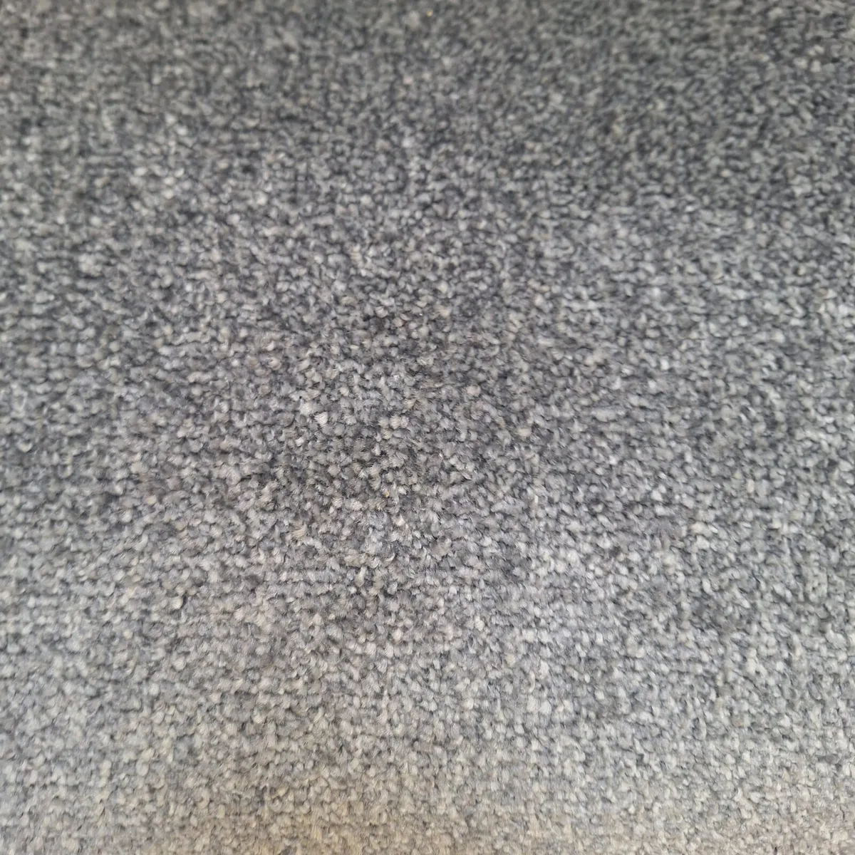 Biscuit Picadily Carpet supply&fit available - Image 2