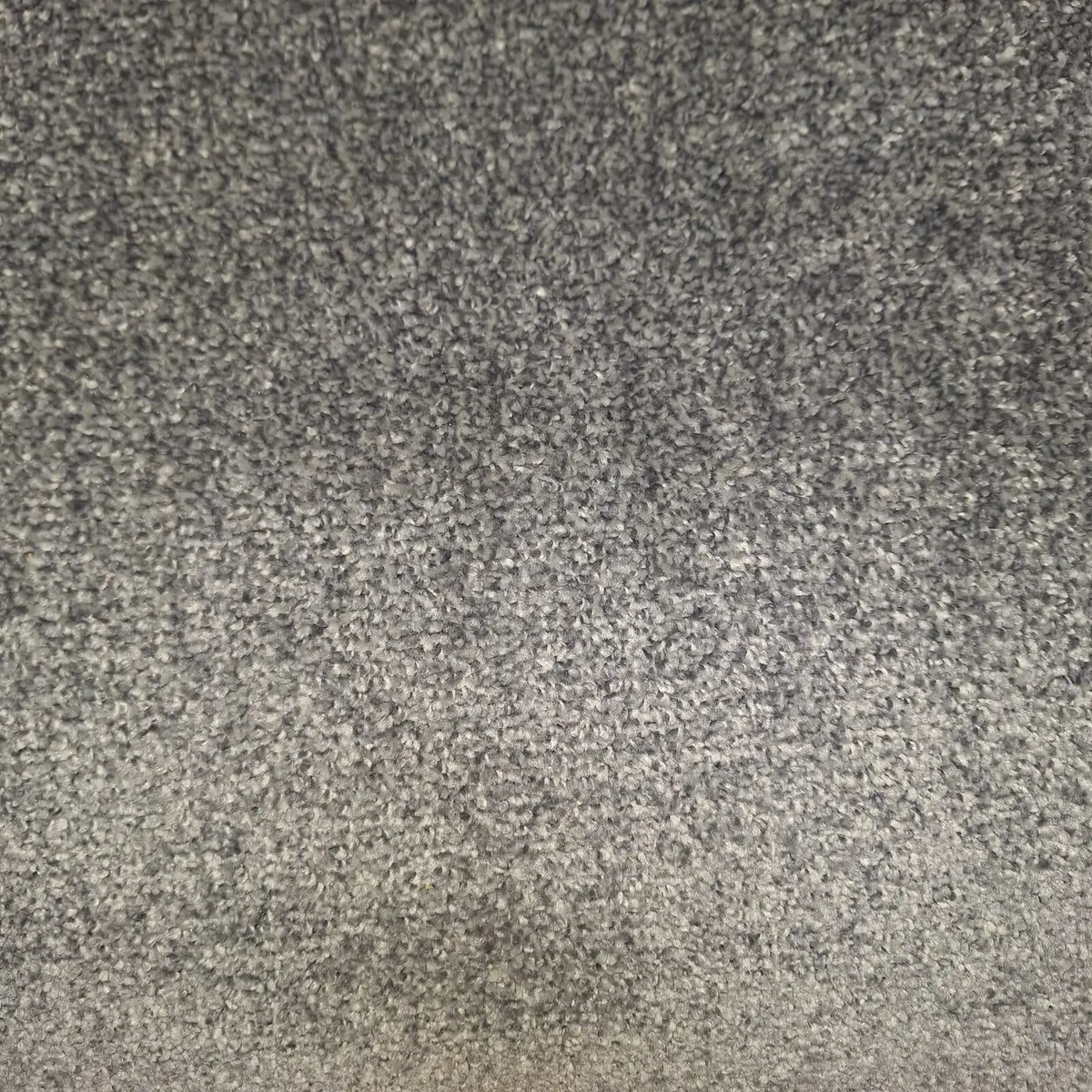 Biscuit Picadily Carpet supply&fit available - Image 3