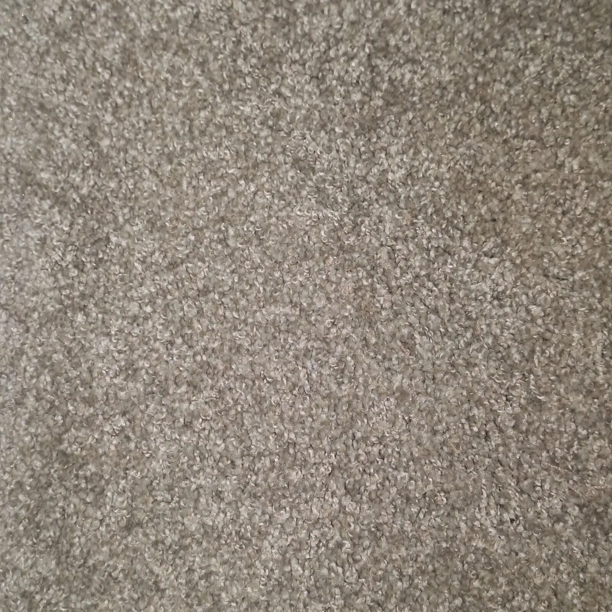 Light crystal grey Carpet supply&fit available - Image 3