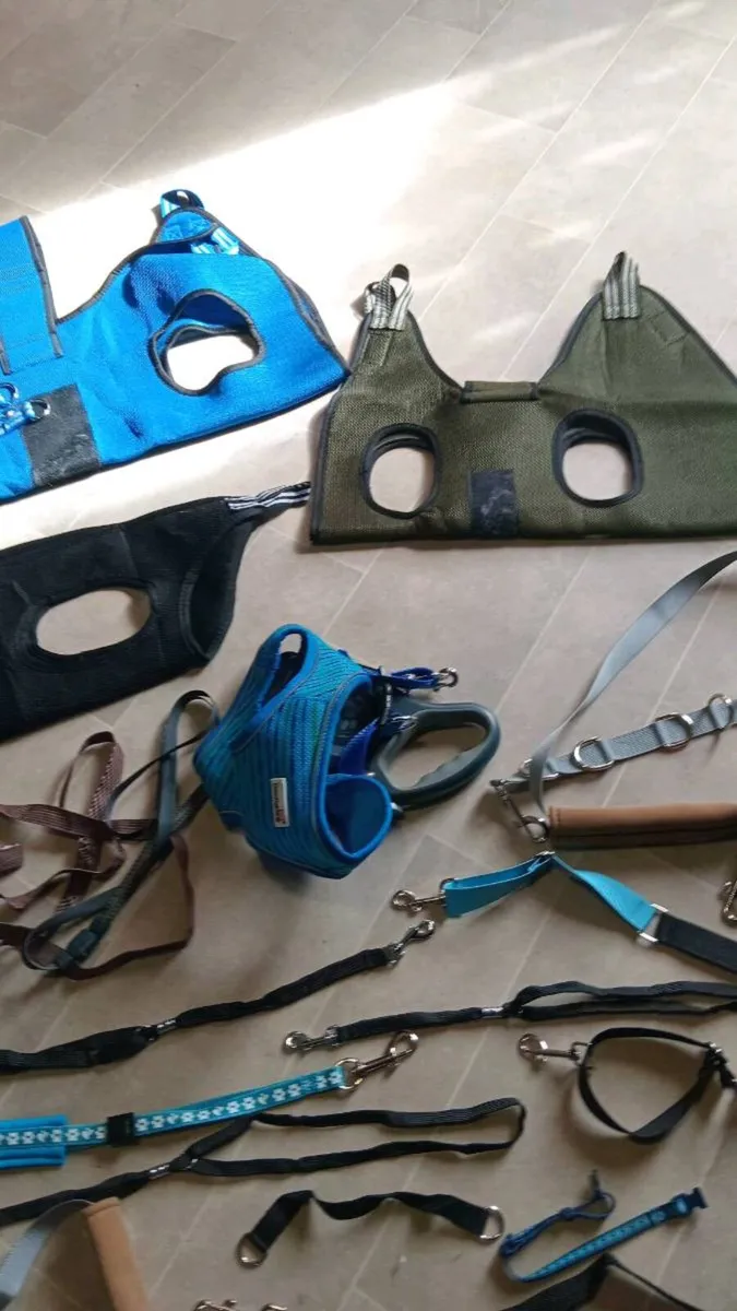 New grooming hammocks etc - Image 2