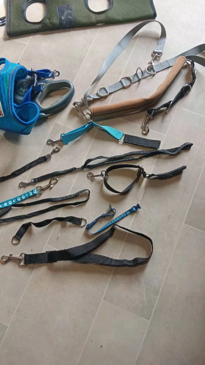 New grooming hammocks etc - Image 1