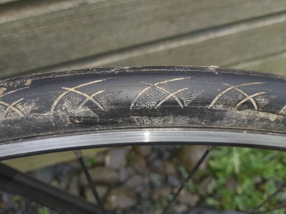 Trek racing / touring Bicycle - Image 3