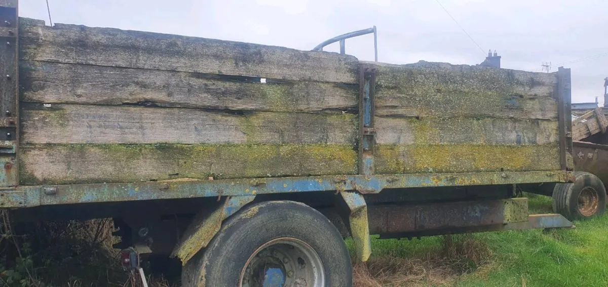 Tipping trailer - Image 2