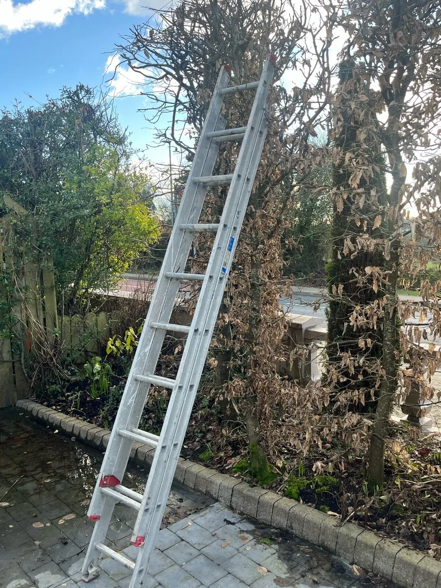 Ladder - Image 1