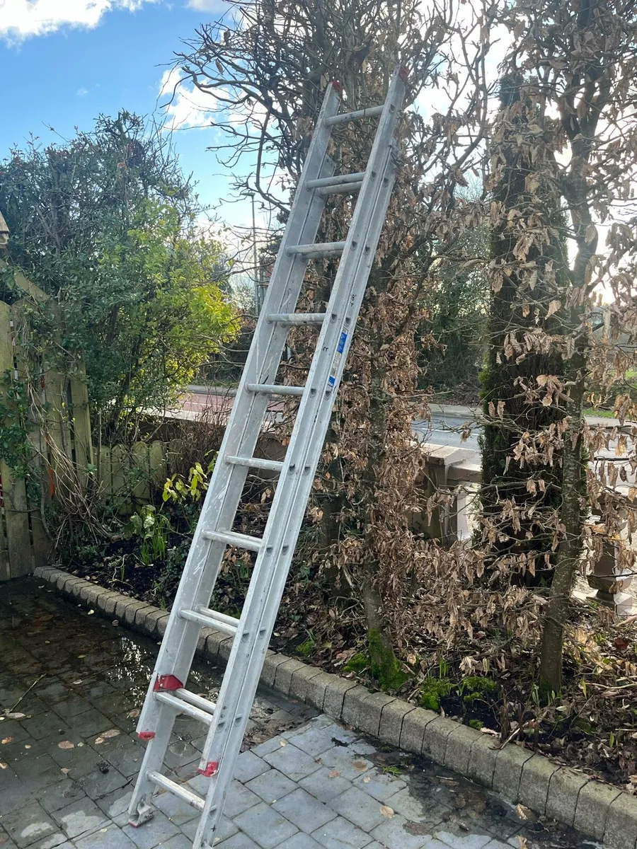 Ladder - Image 3