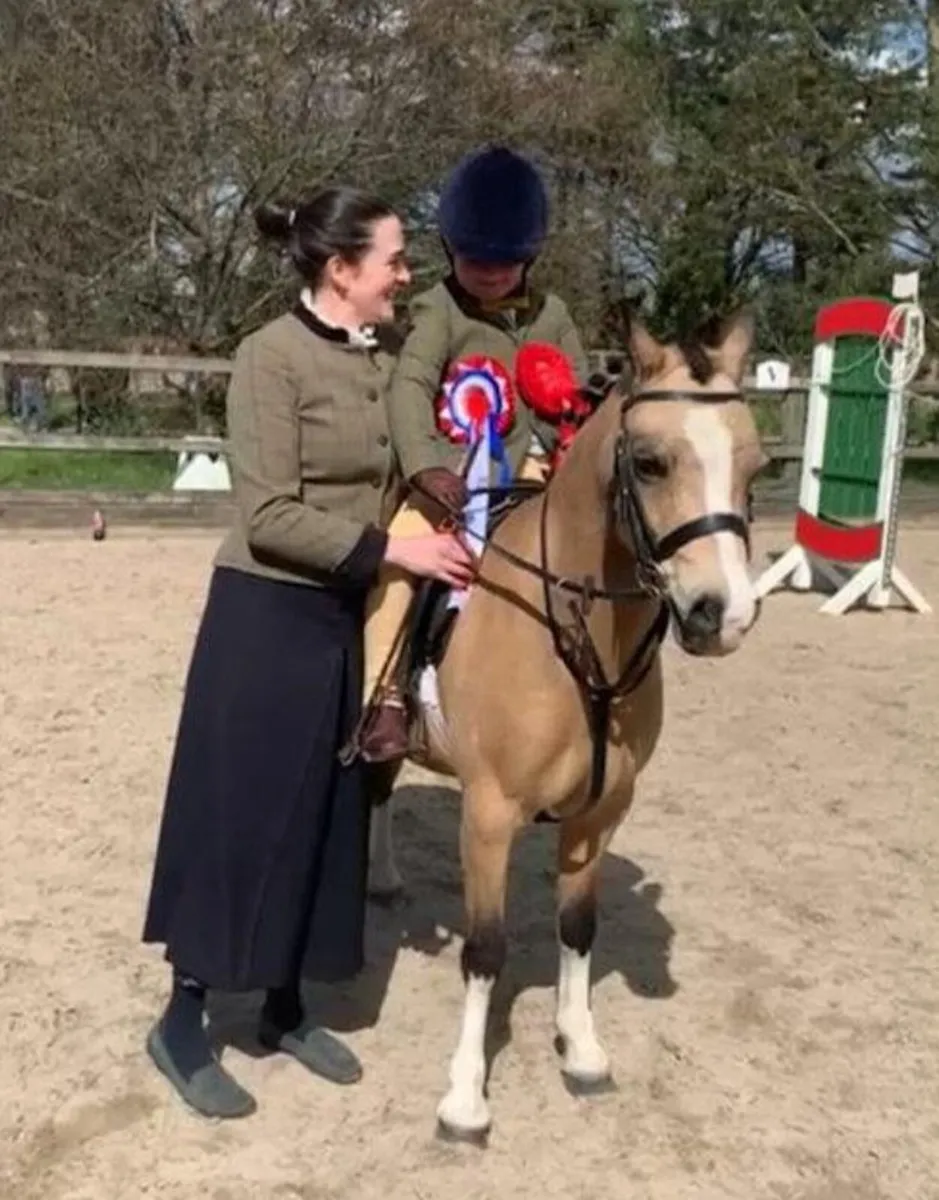 Superstar Lead Rein Pony - Image 2