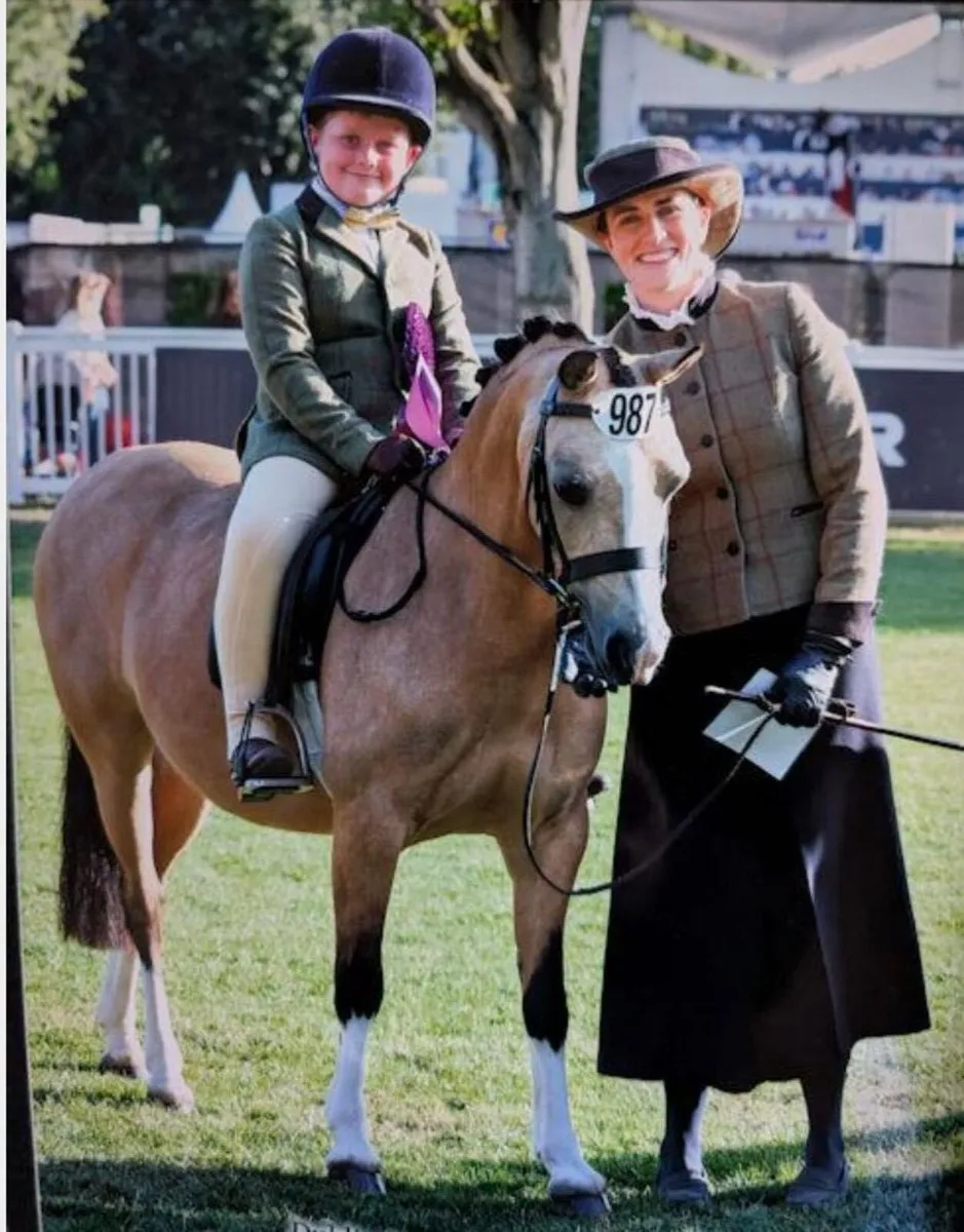 Superstar Lead Rein Pony - Image 1