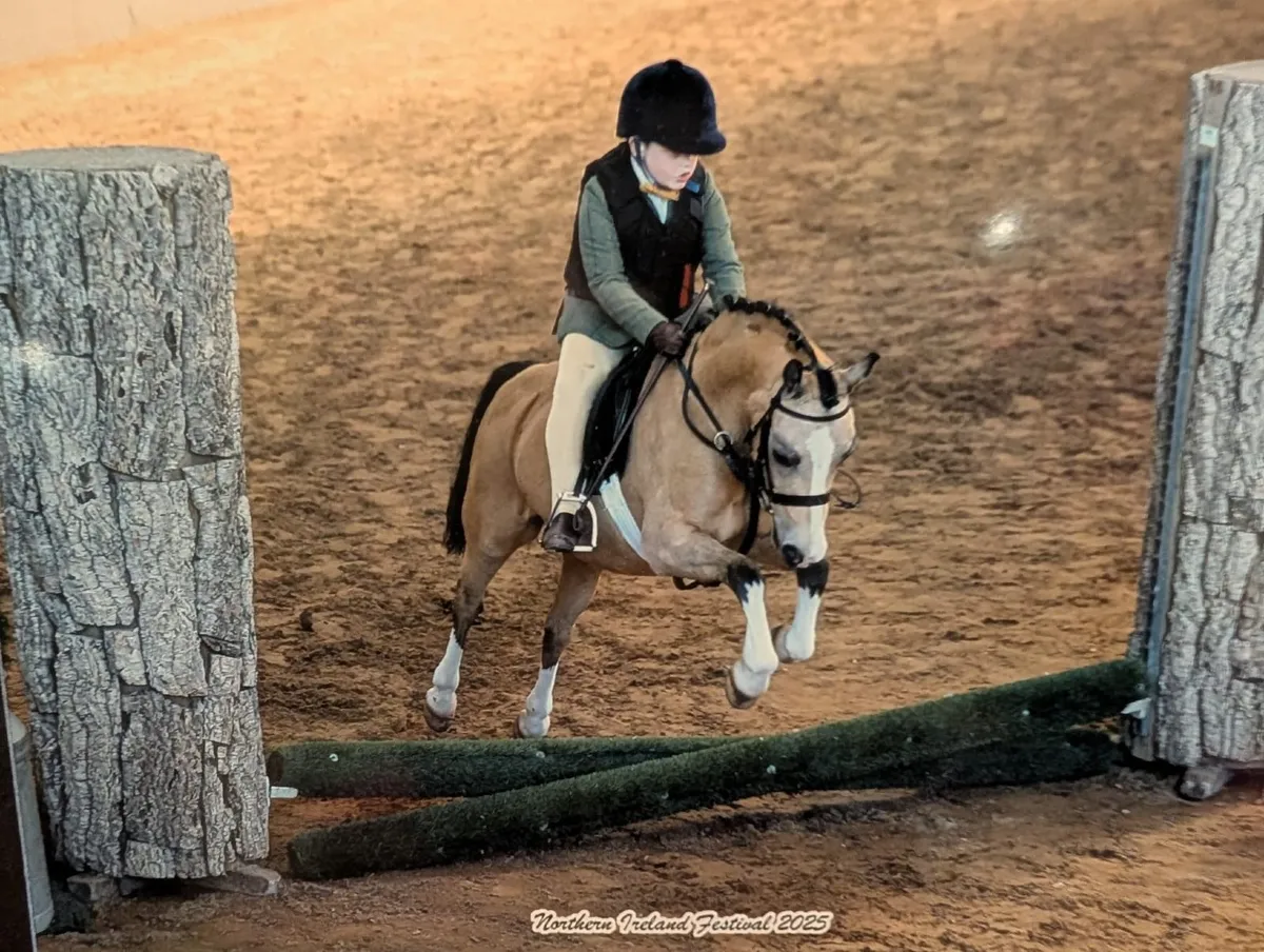 Superstar Lead Rein Pony - Image 3