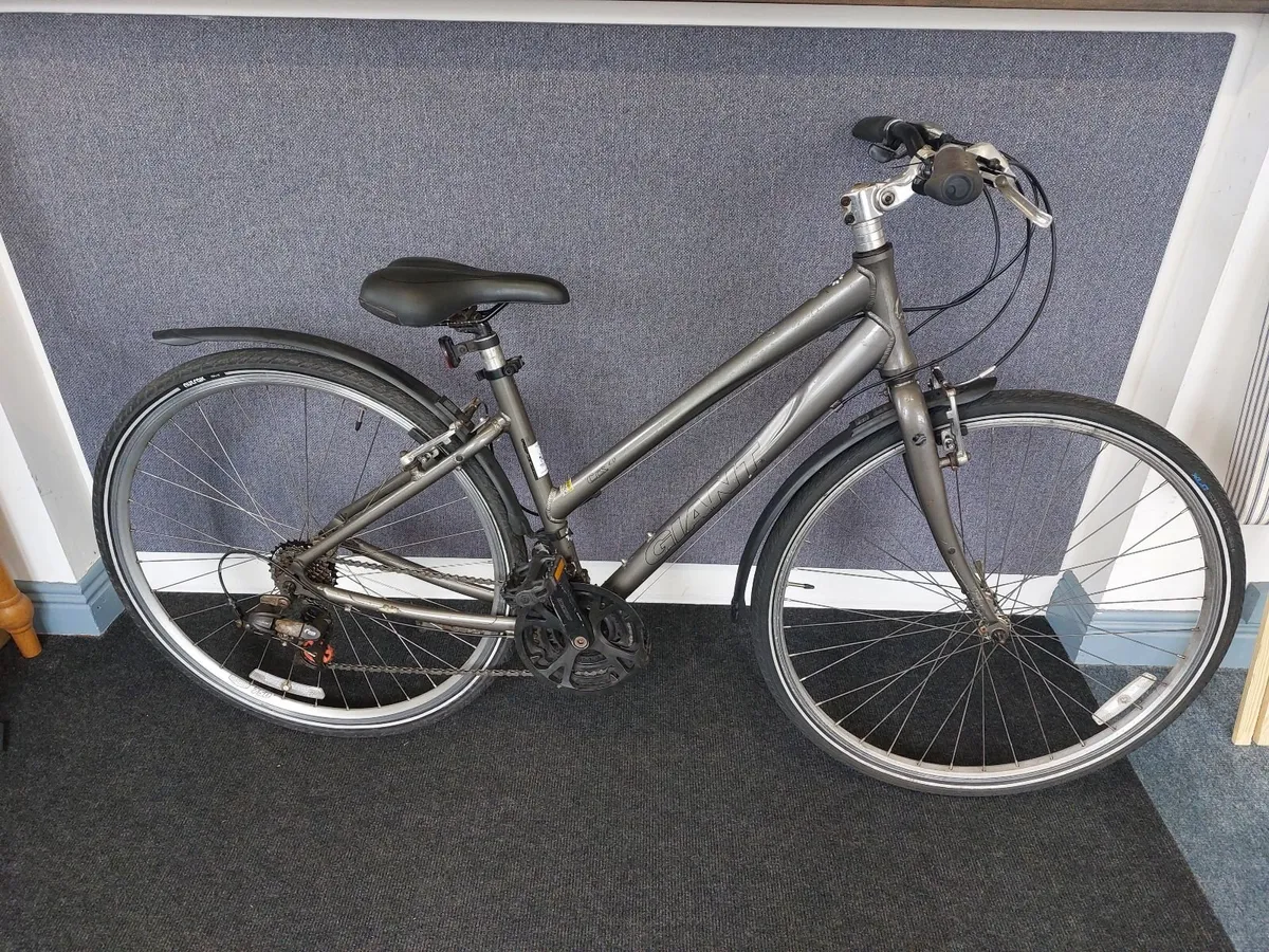 Giant Hybrid - Image 1