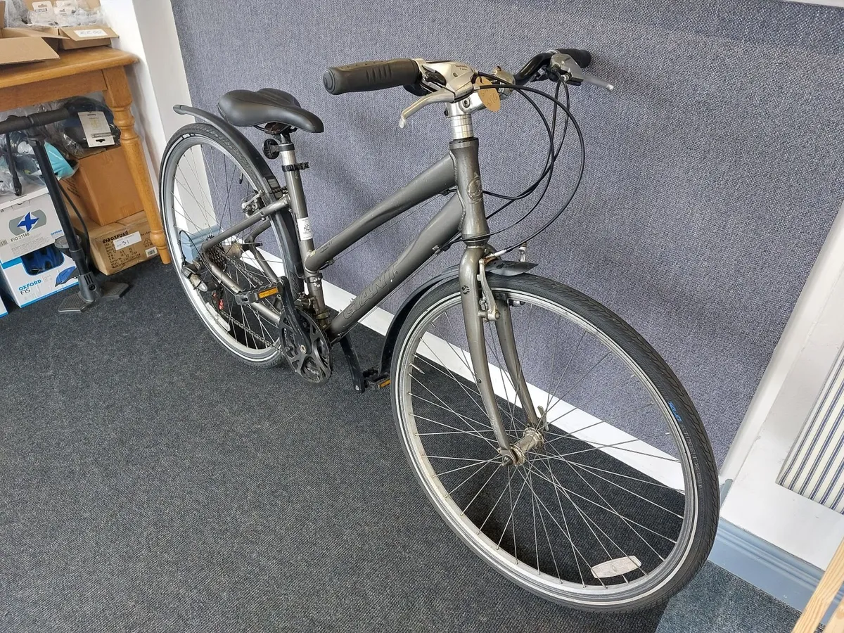 Giant Hybrid - Image 2