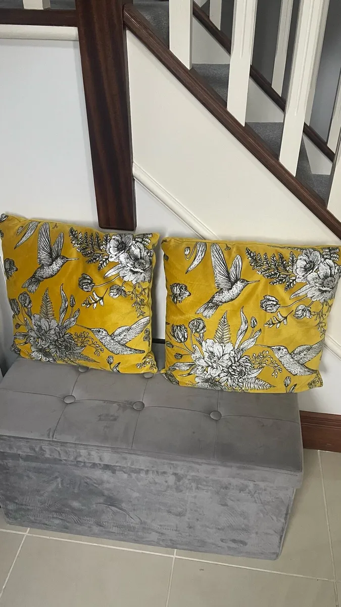 Pair Of Velvet Cushions - Image 1