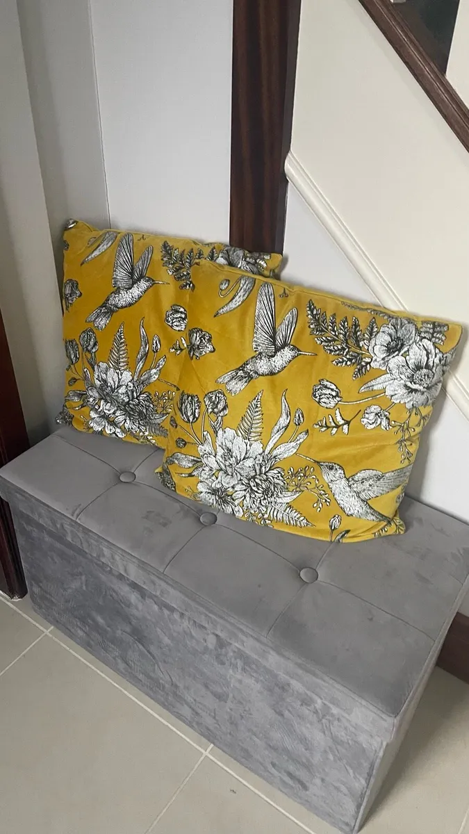 Pair Of Velvet Cushions - Image 2