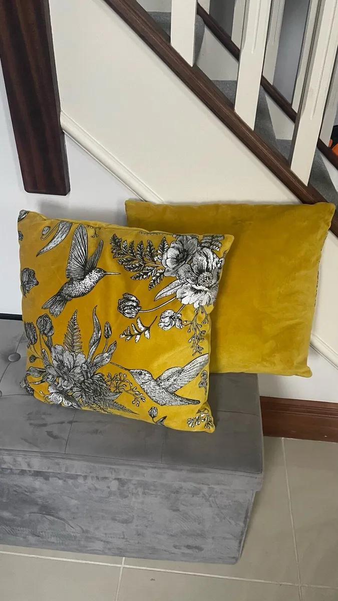 Pair Of Velvet Cushions - Image 3