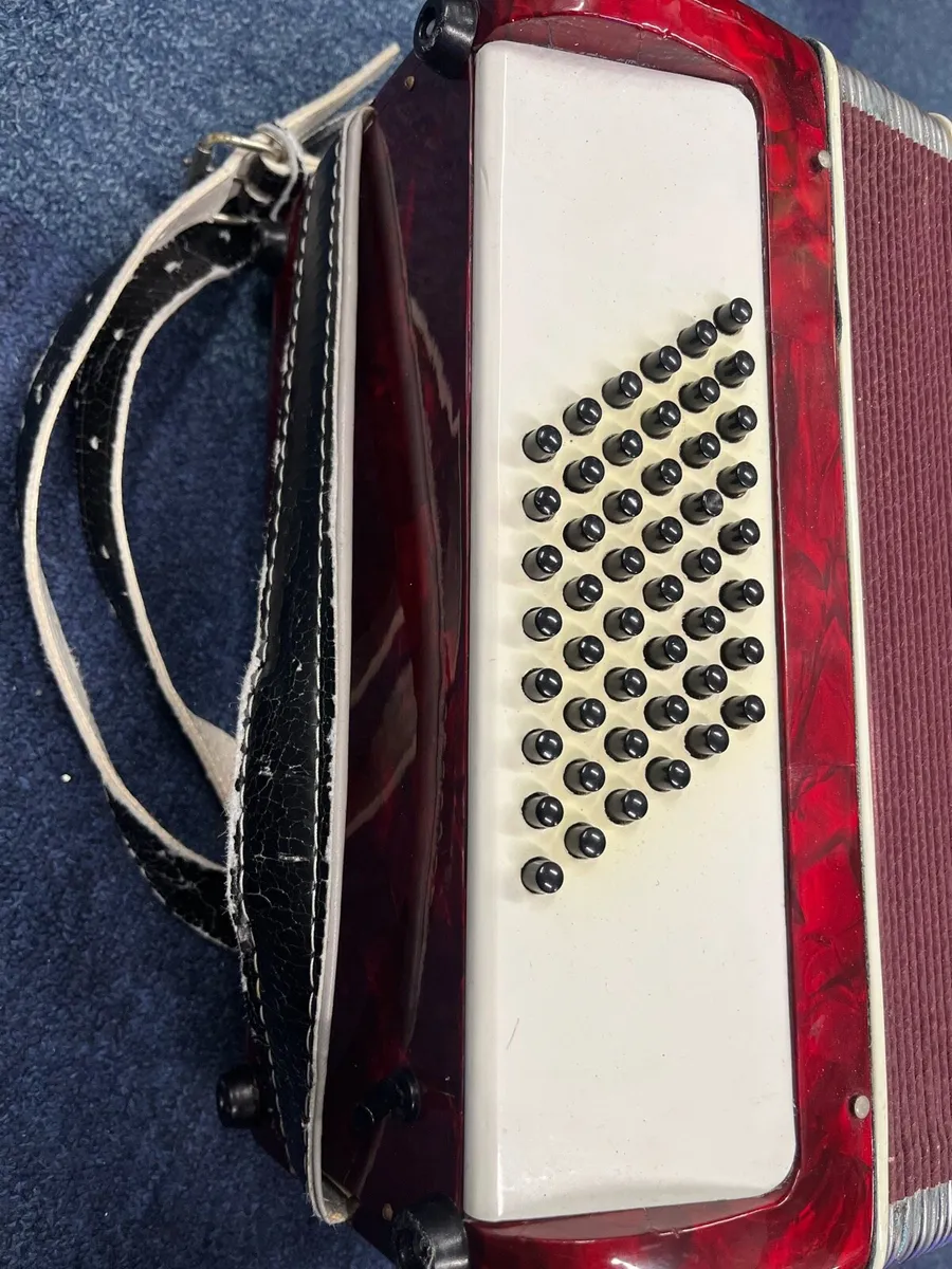 48bass Piano Accordion - Image 4