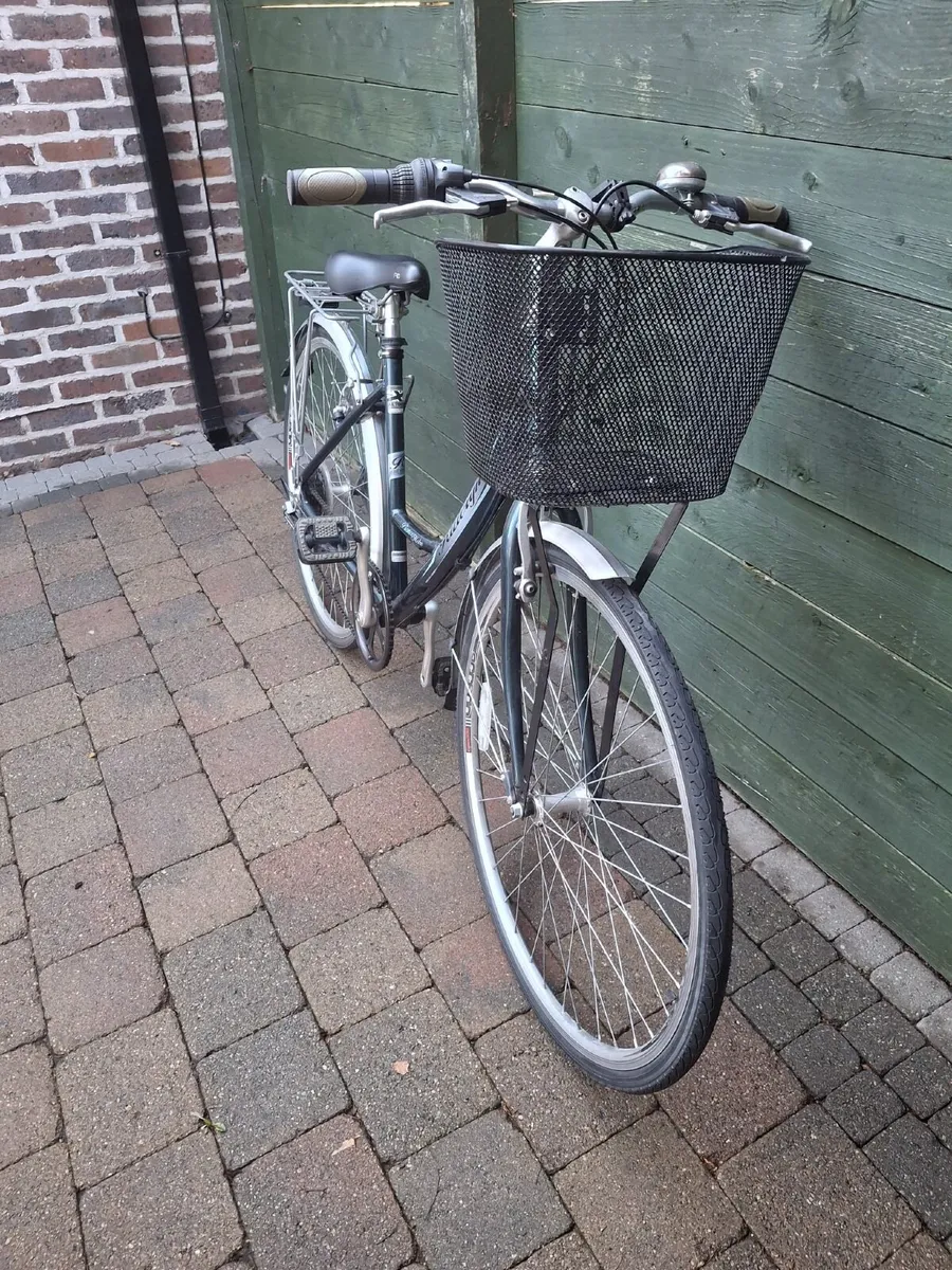 Raleigh Pioneer  Metro Ladies Bicycle - Image 3