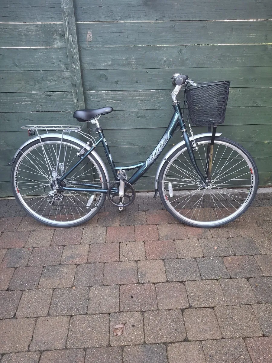 Raleigh Pioneer  Metro Ladies Bicycle - Image 4