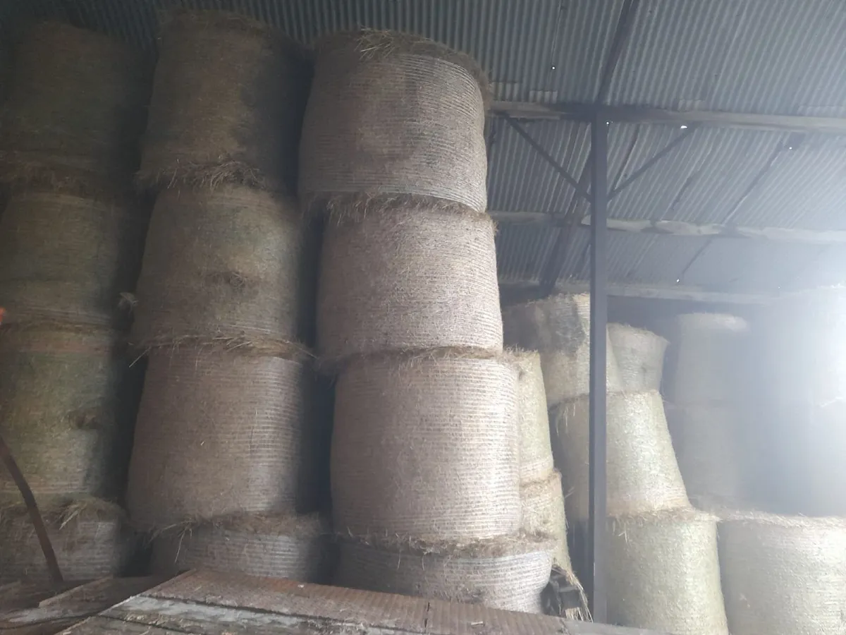 hay square & round & round bales of silage