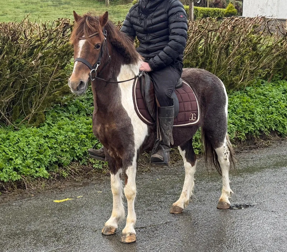 ⭐️Romeo - Image 4