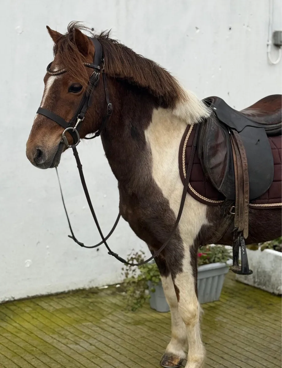 ⭐️Romeo - Image 1