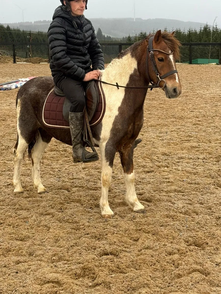 ⭐️Romeo - Image 3