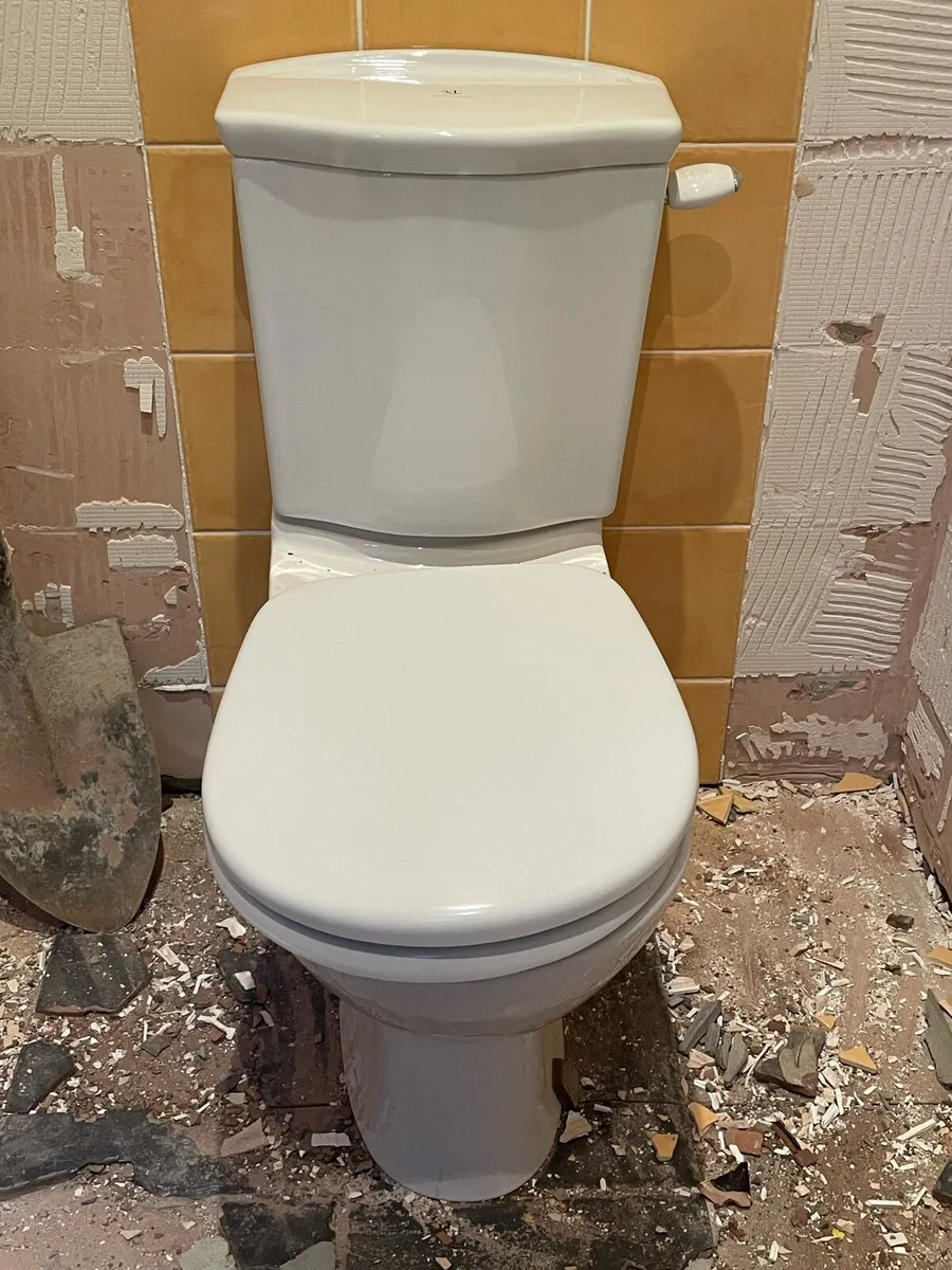 Sink, taps and toilet - Image 3