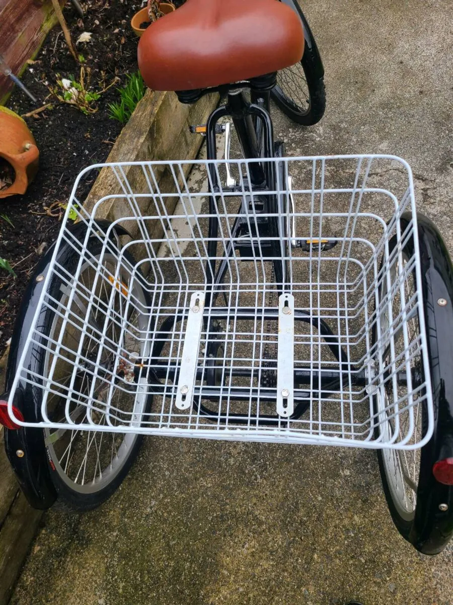Trike - Image 3