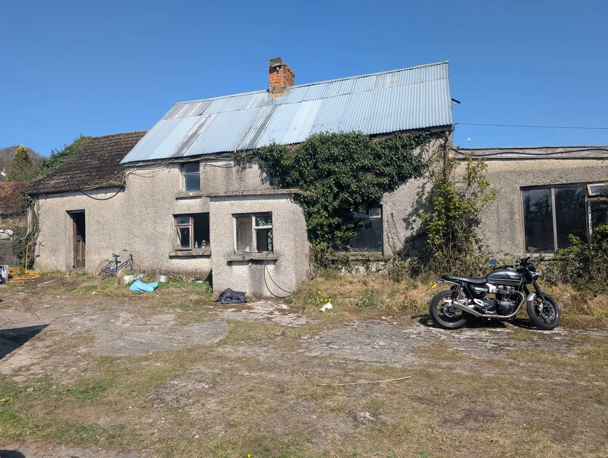 Triumph Speed Twin 2021 - Image 3