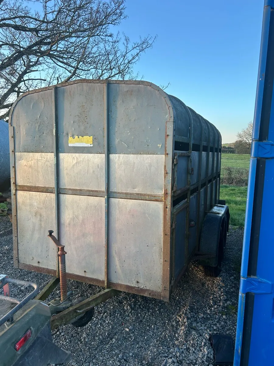 Cattle trailer - Image 2