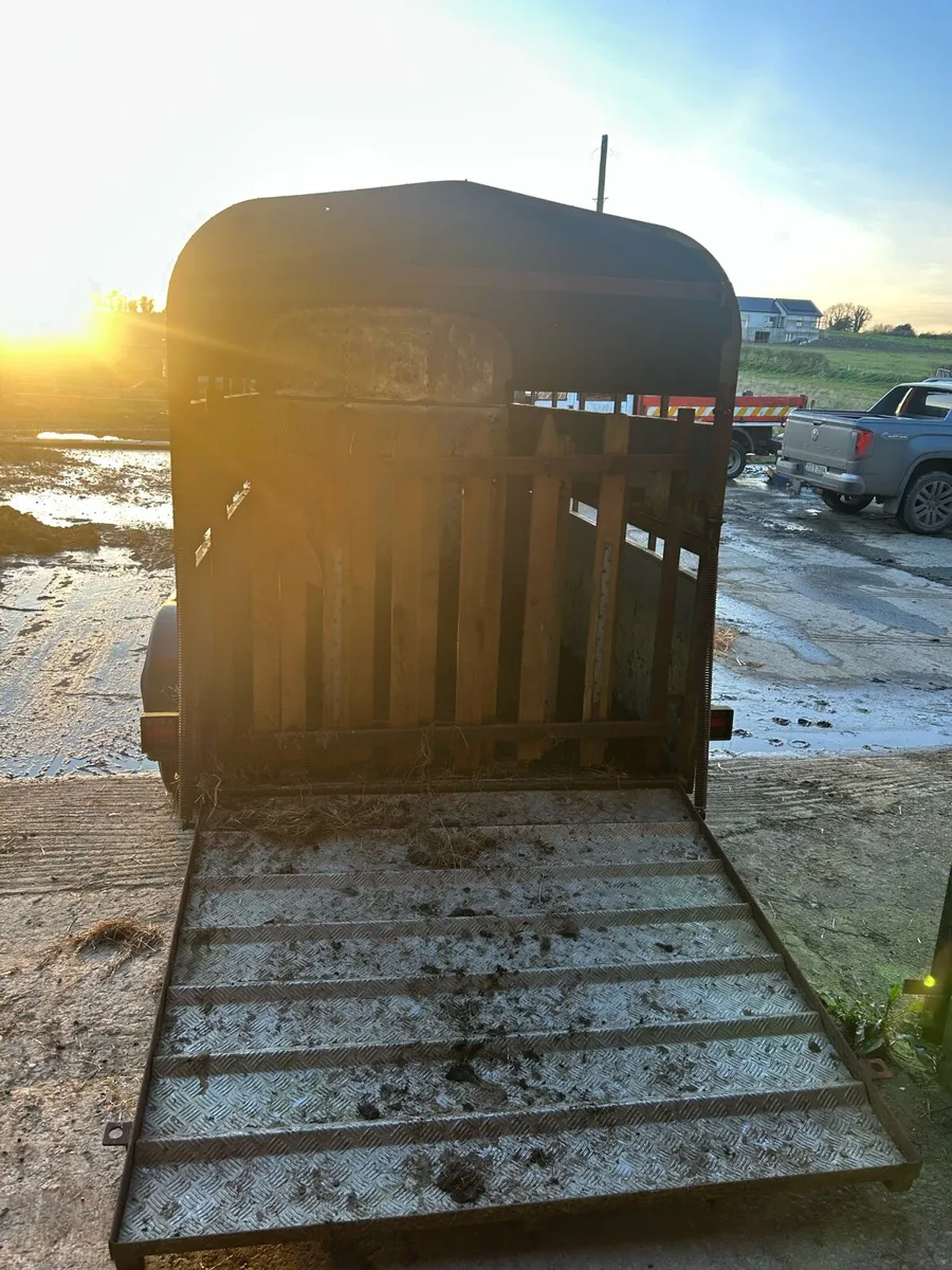 Cattle trailer - Image 3